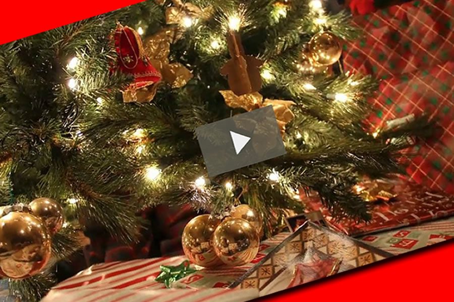Happy Holidays Video from NWeSource